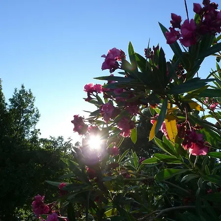 Apartment Smolica Labin (Istria)